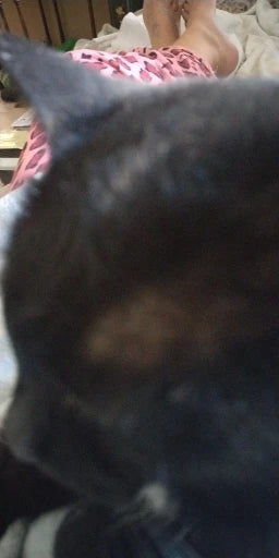 A8a50d2f0111847cf87c54413326df70eC.jpg